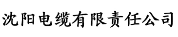 亚洲变态另类一区二区三区电缆厂logo